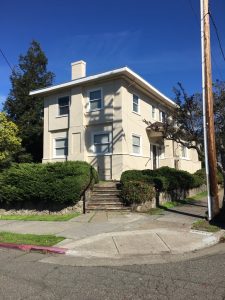 Majestic Painters (11)