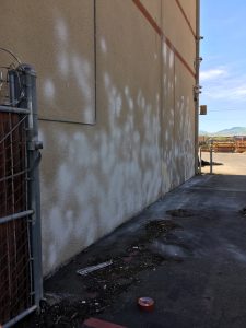 Majestic Painters (24)