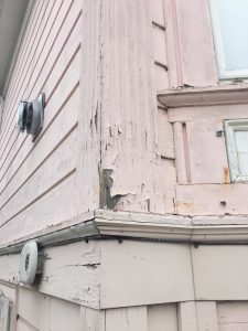 Majestic Painters (32)