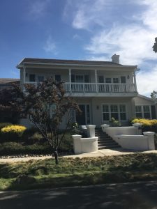 Majestic Painters (45)