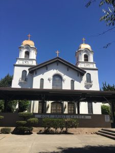 Majestic Painters (46)