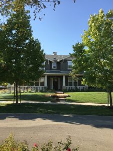 Majestic Painters (5)