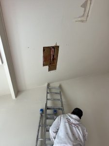 Majestic Painters (51)