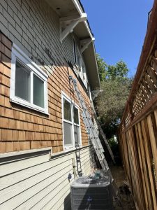 Majestic Painters (6)