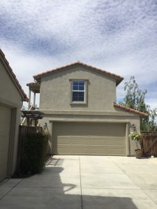 Majestic Painters (61)