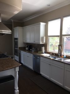 Majestic Painters (62)