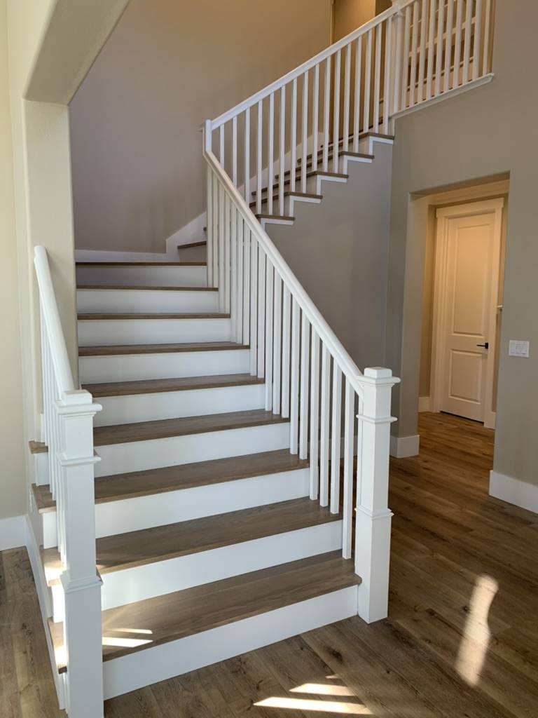 Majestic Painters (75)